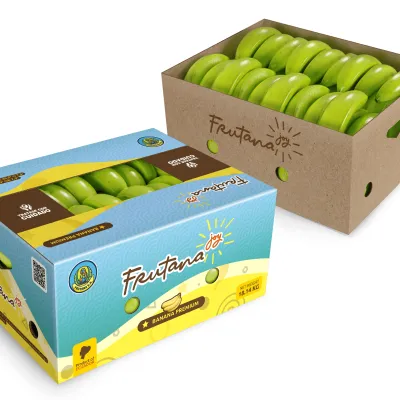 FRUTANAJOY - Premium Fresh Cavendish Banana