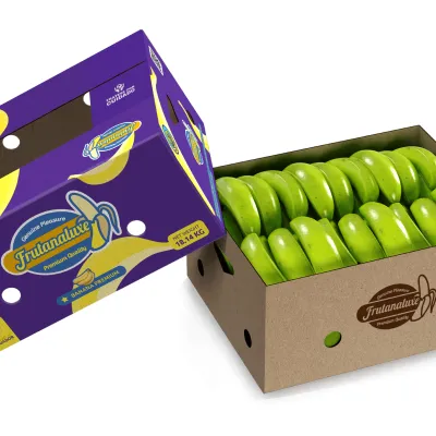FRUTALUXE - Premium Fresh Cavendish Banana