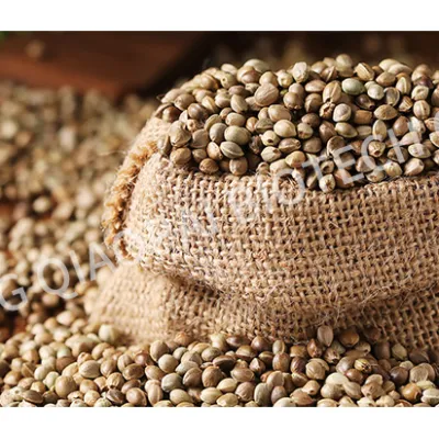 Hemp Seed