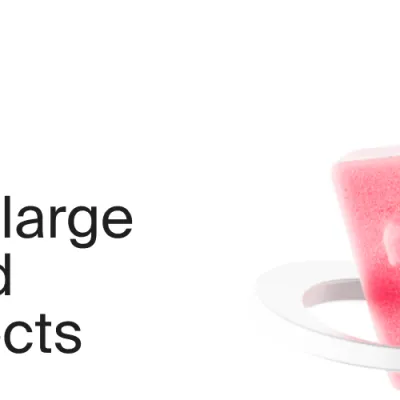 Website Design and Development