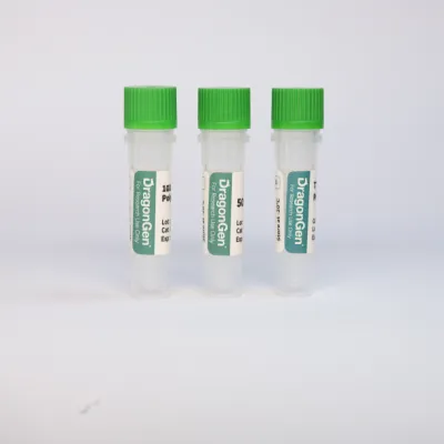 T7 RNA Polymerase