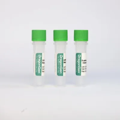 2'-O-Methyltransferase