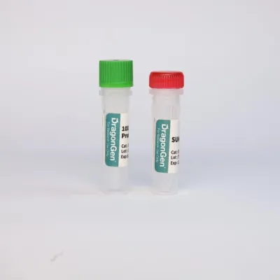SUMO Protease