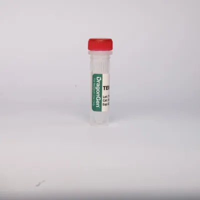 TEV Protease