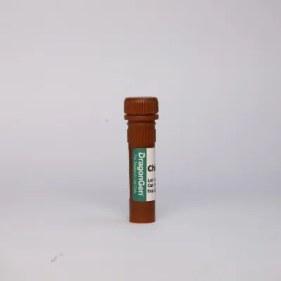 Chitinase