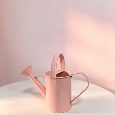 Pastel Pink Metal Watering Can, Decorative Garden Water Pot for Floral Display